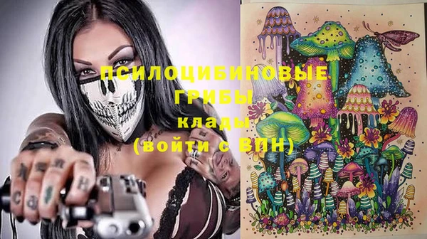 гидропоника Алексеевка
