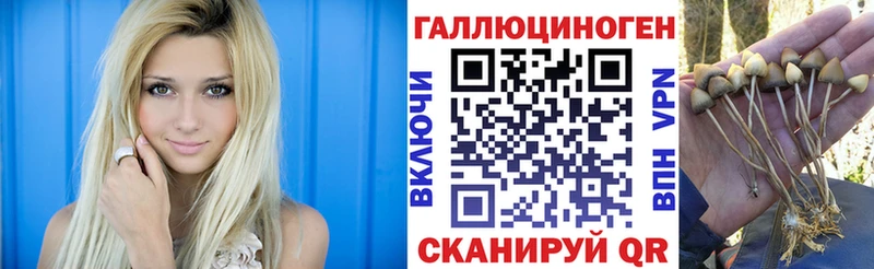где продают ОМГ ОМГ рабочий сайт Галлюциногенные грибы мухоморы Павловский Посад