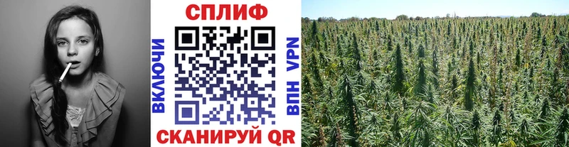 Бошки марихуана тримм  Павловский Посад 